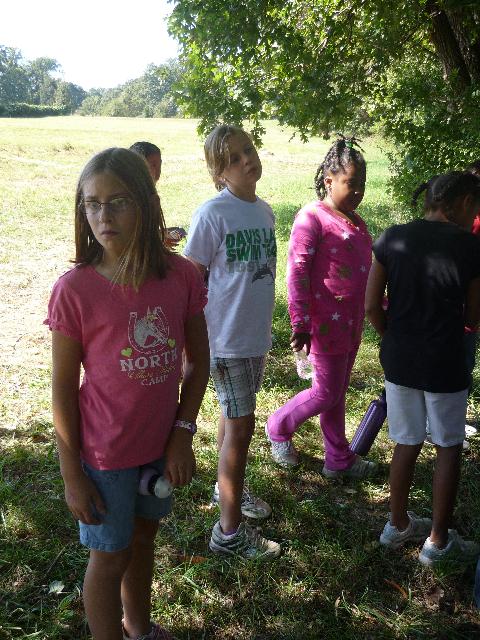 Field trip in the woods