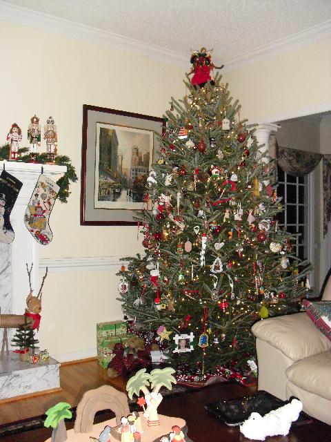 Our tree