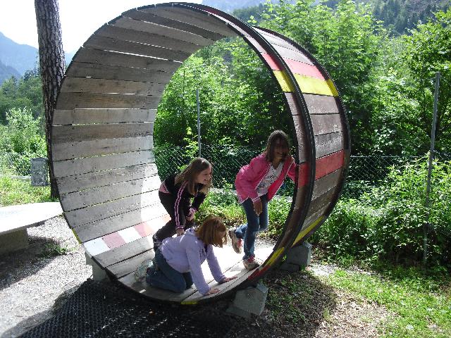 Hamster wheel