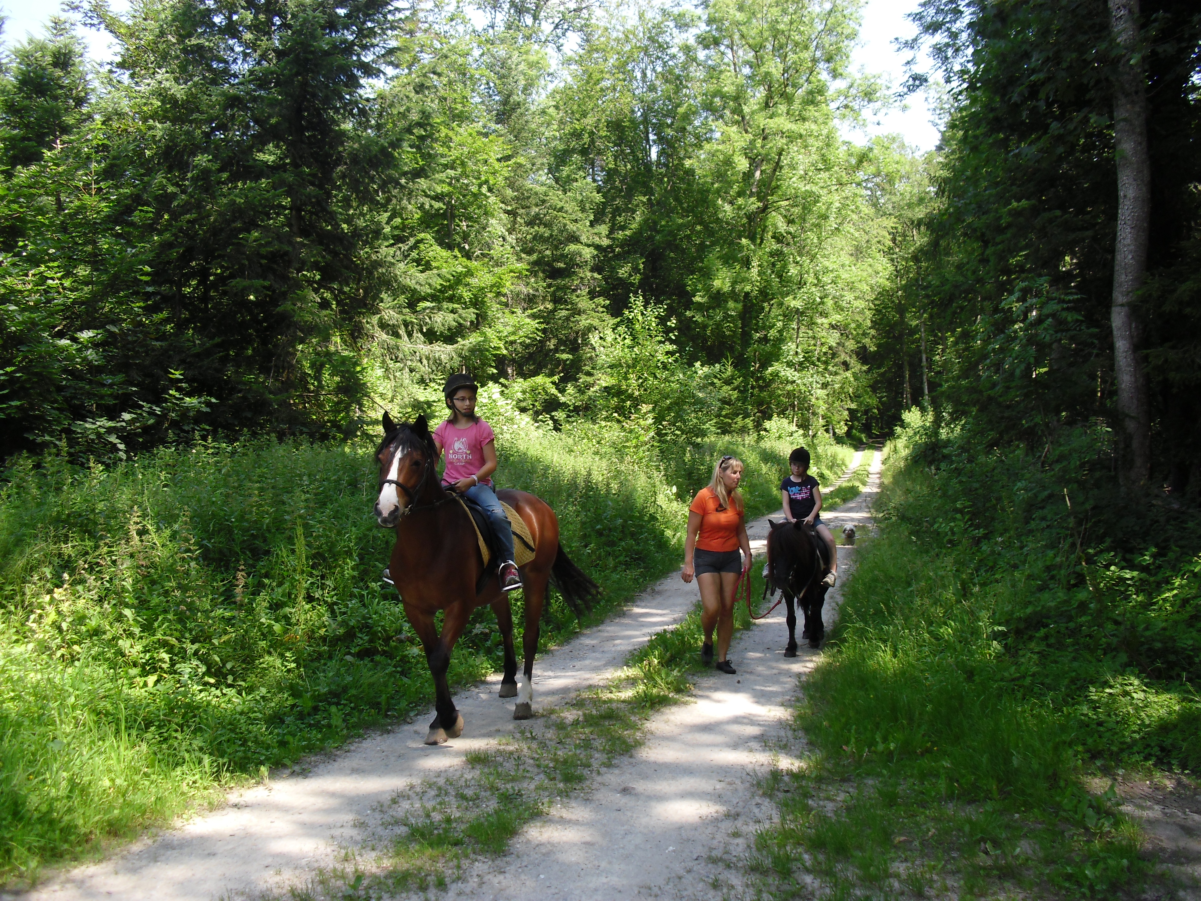 Trailride.jpg