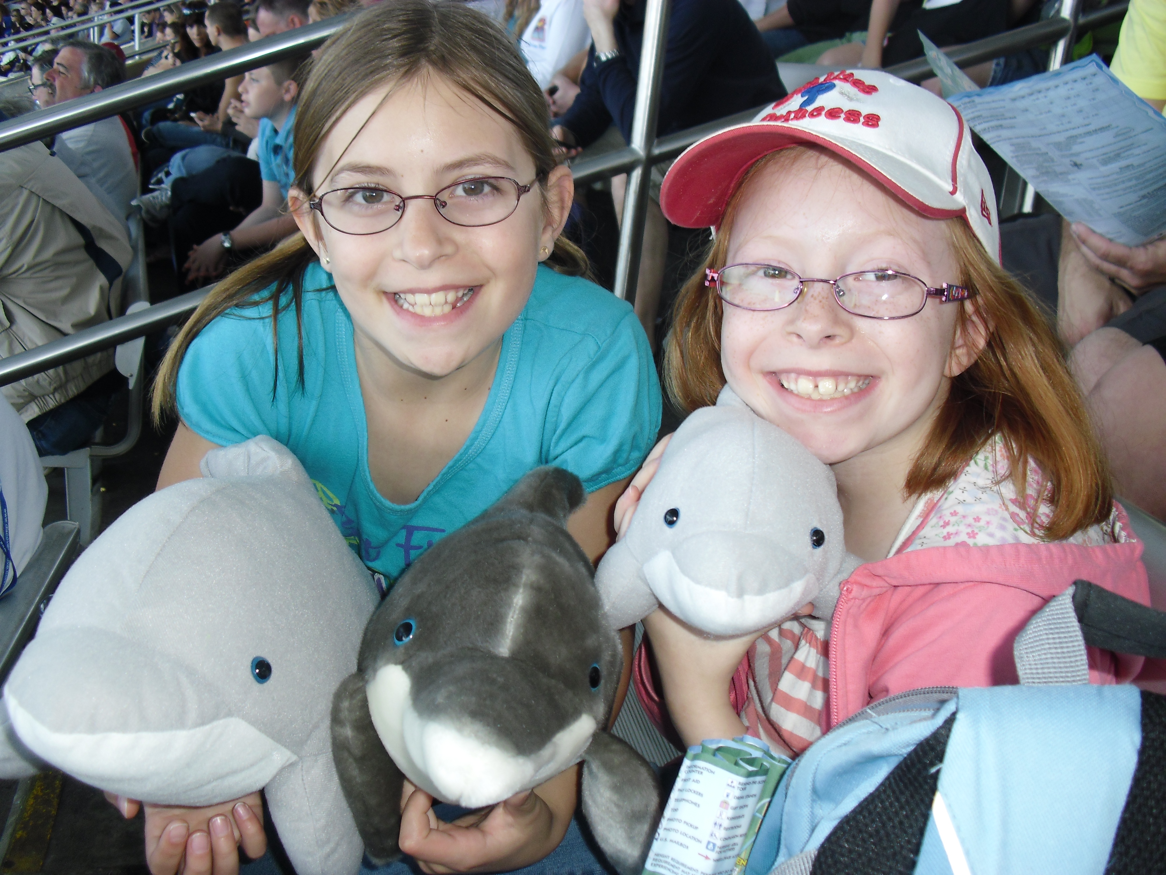 Dolphinfriends.jpg