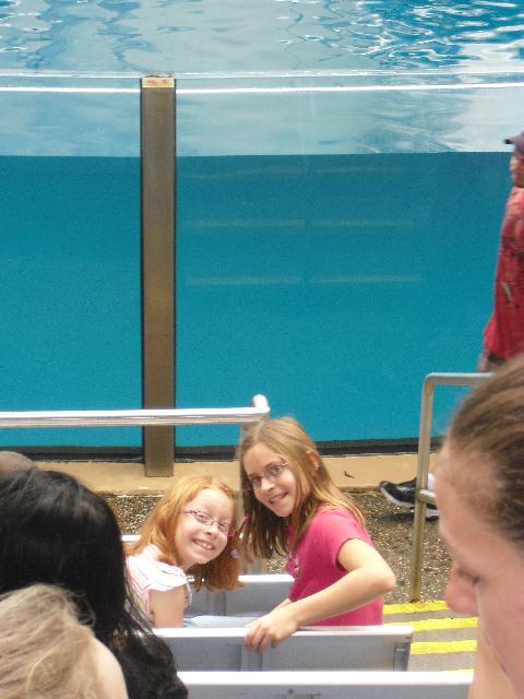 In the splash zone