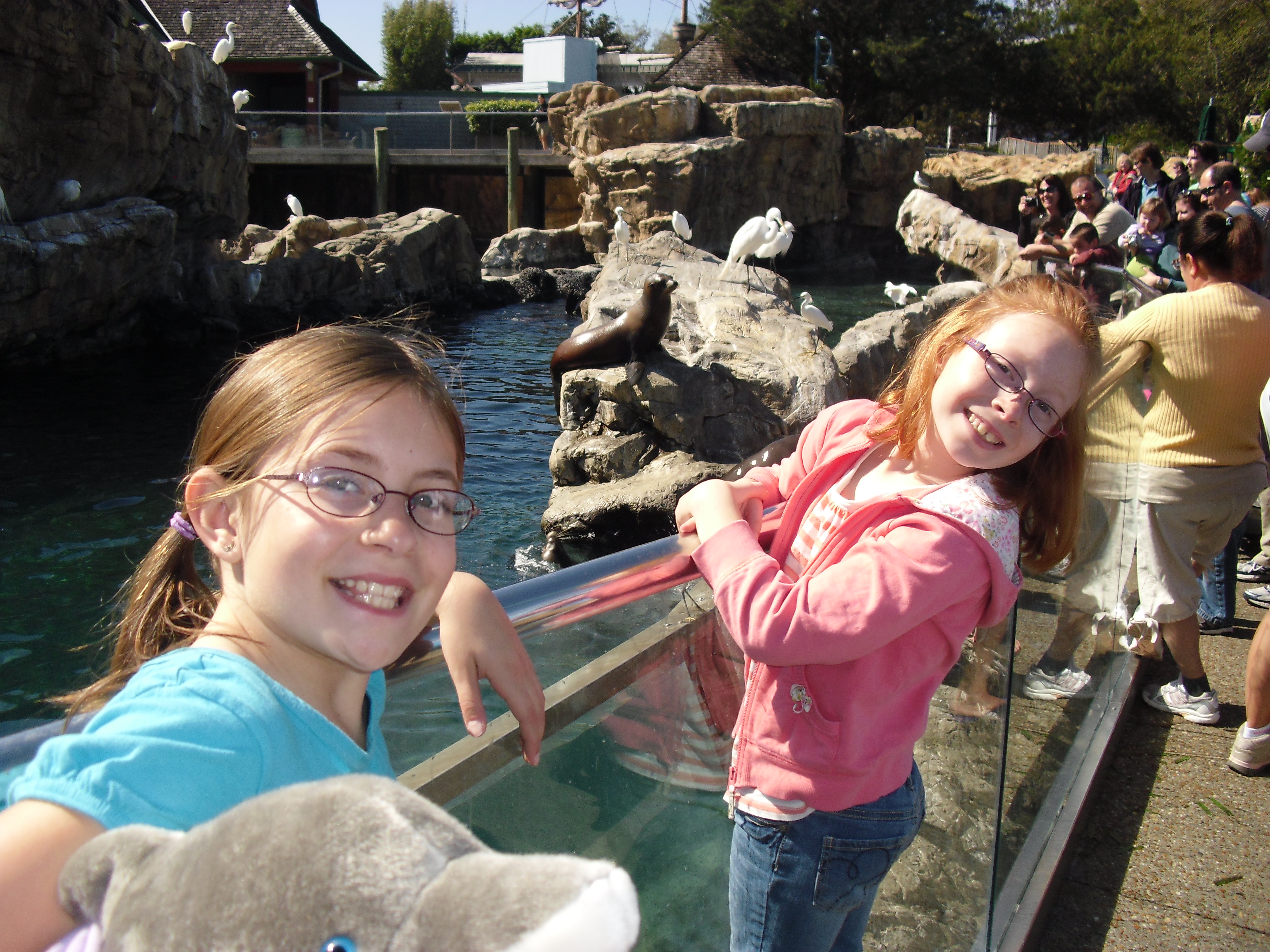 SeaWorldfun.jpg