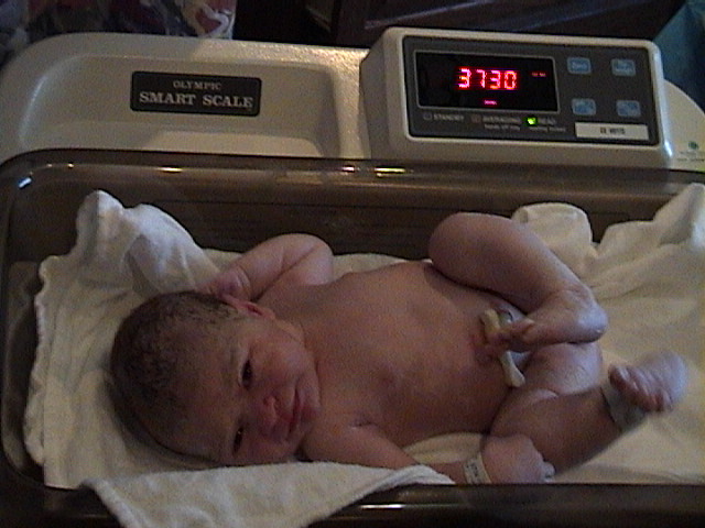 Weighin.jpg