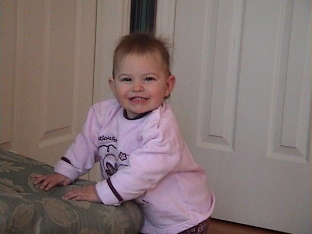 Cheese