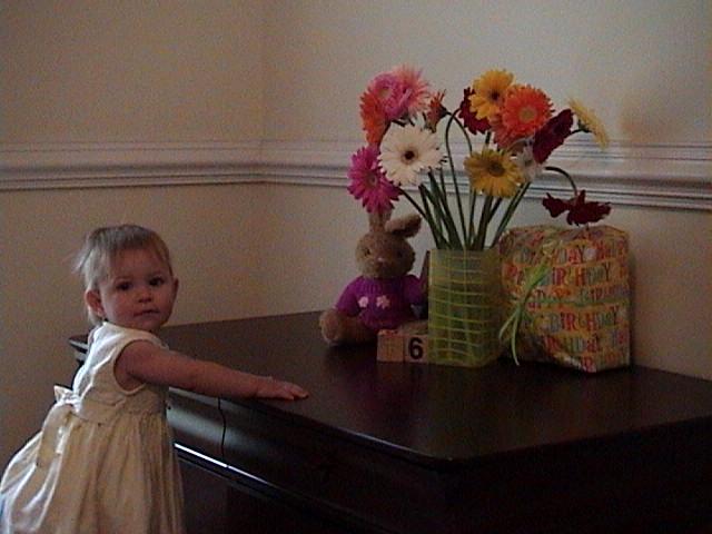 One year old