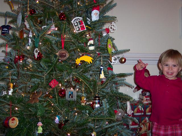 My tree