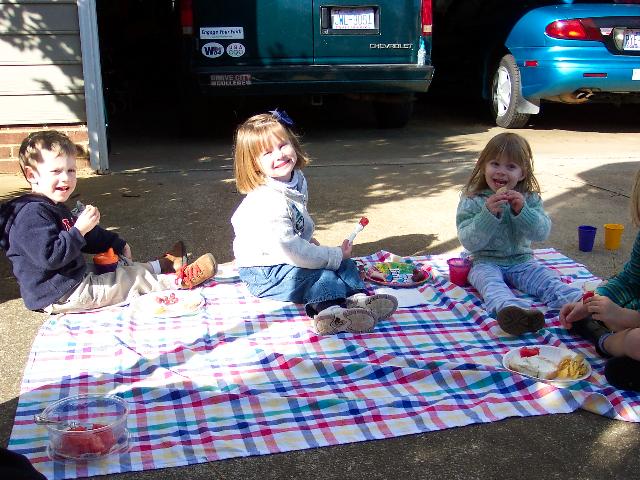 January picnic