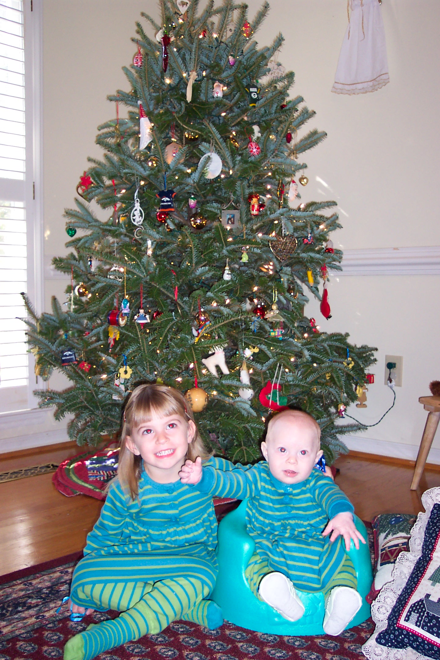 OhChristmastree.jpg