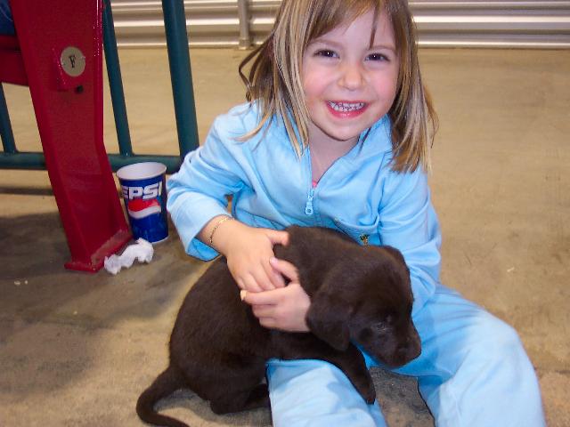 Sweet puppy