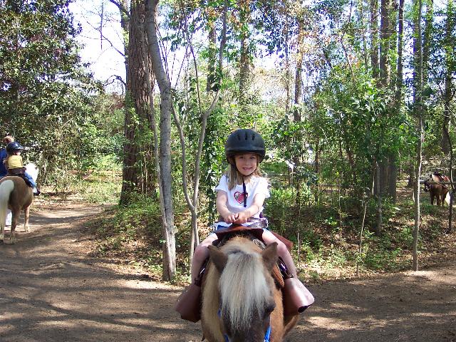 Taylor the pony