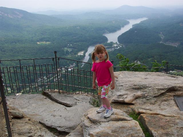 Mountain goat