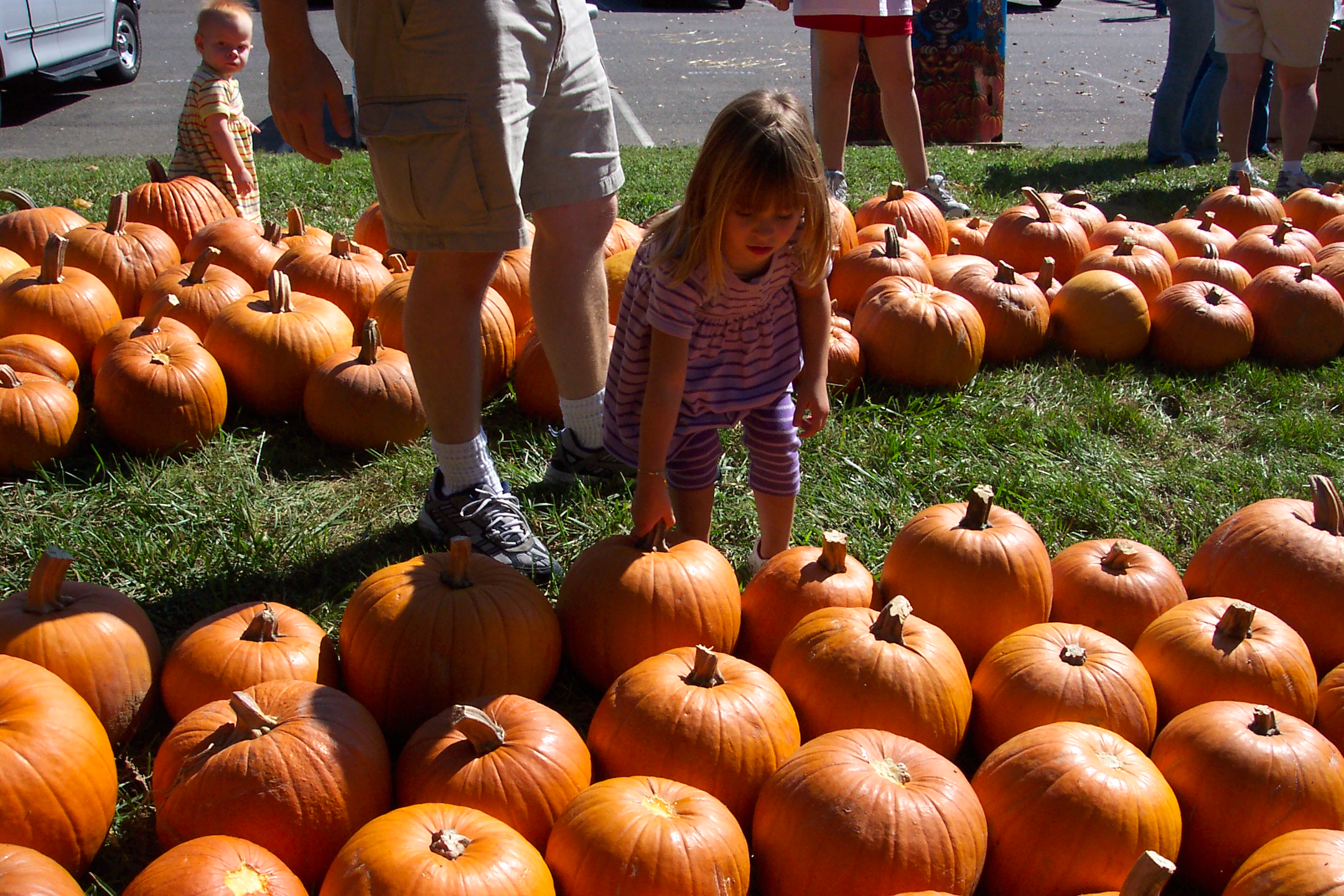 Pickingpumpkins.jpg