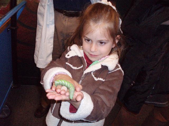 Big caterpillar