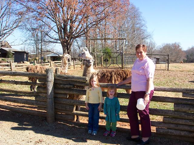 Lazy 5 Ranch