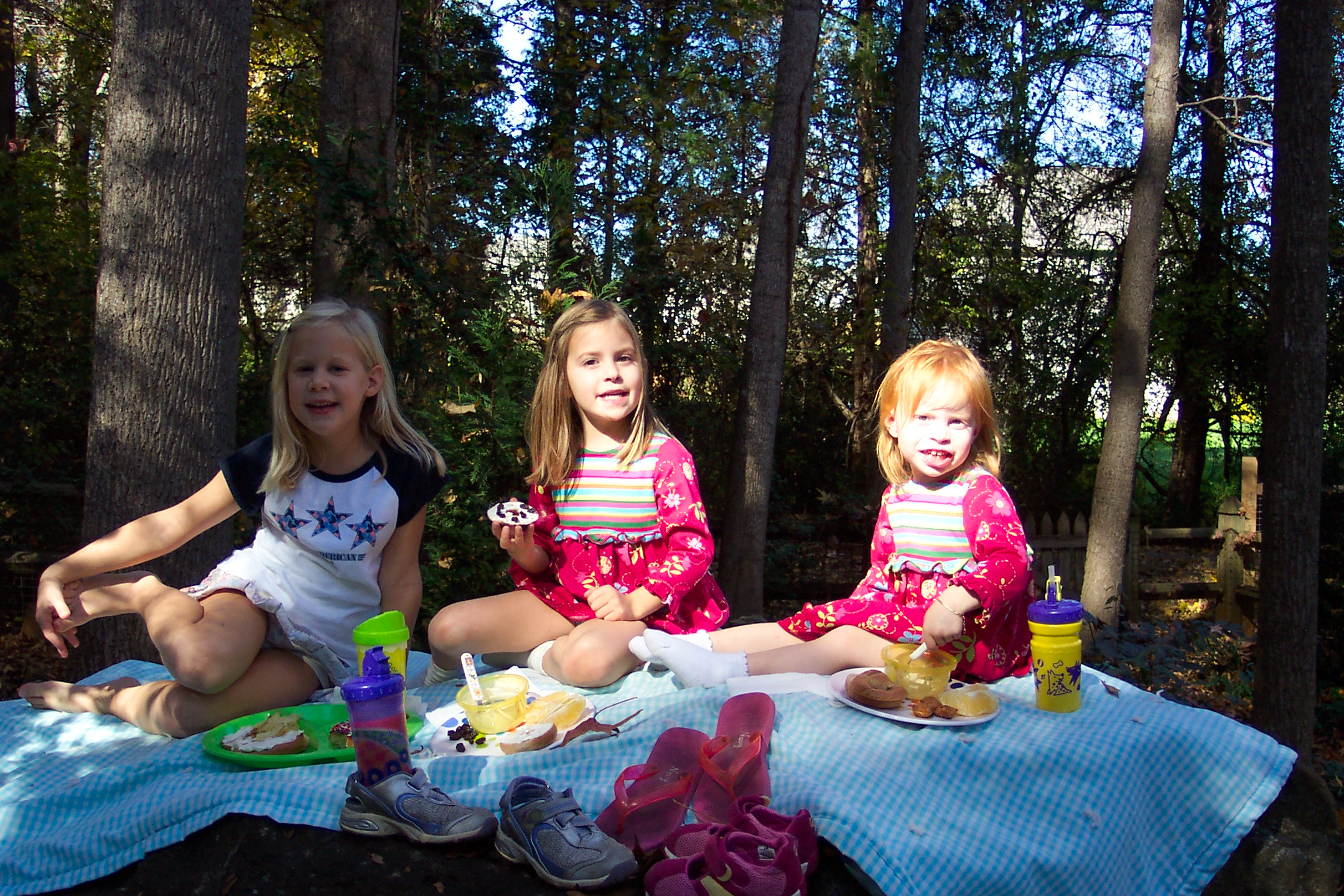 NovemberpicnicwithMorgan.jpg