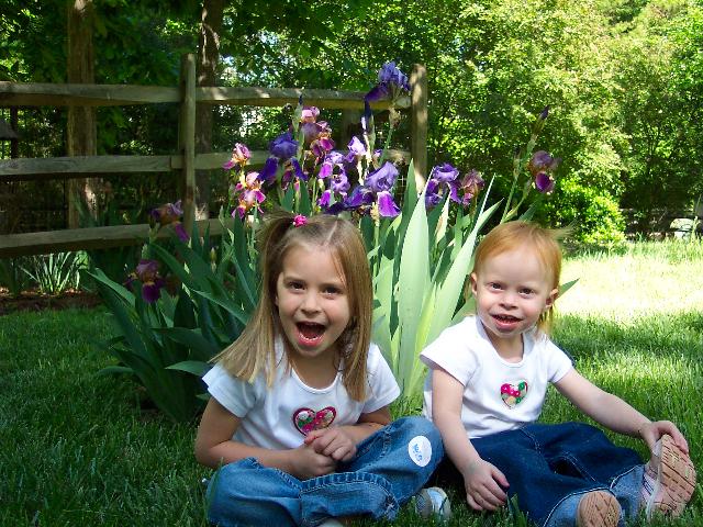Irises