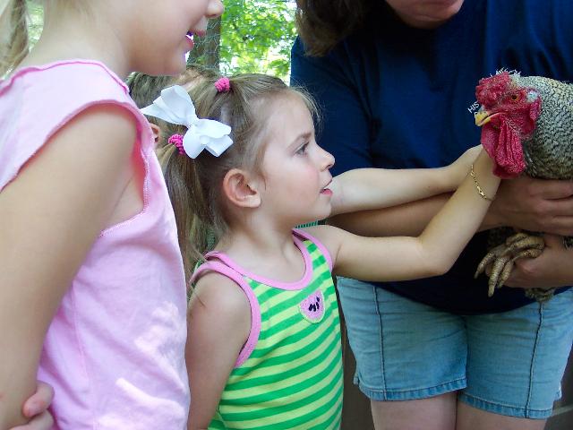 Petting Two Cents