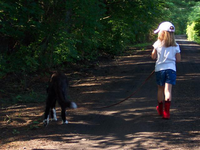 Walking slowly
