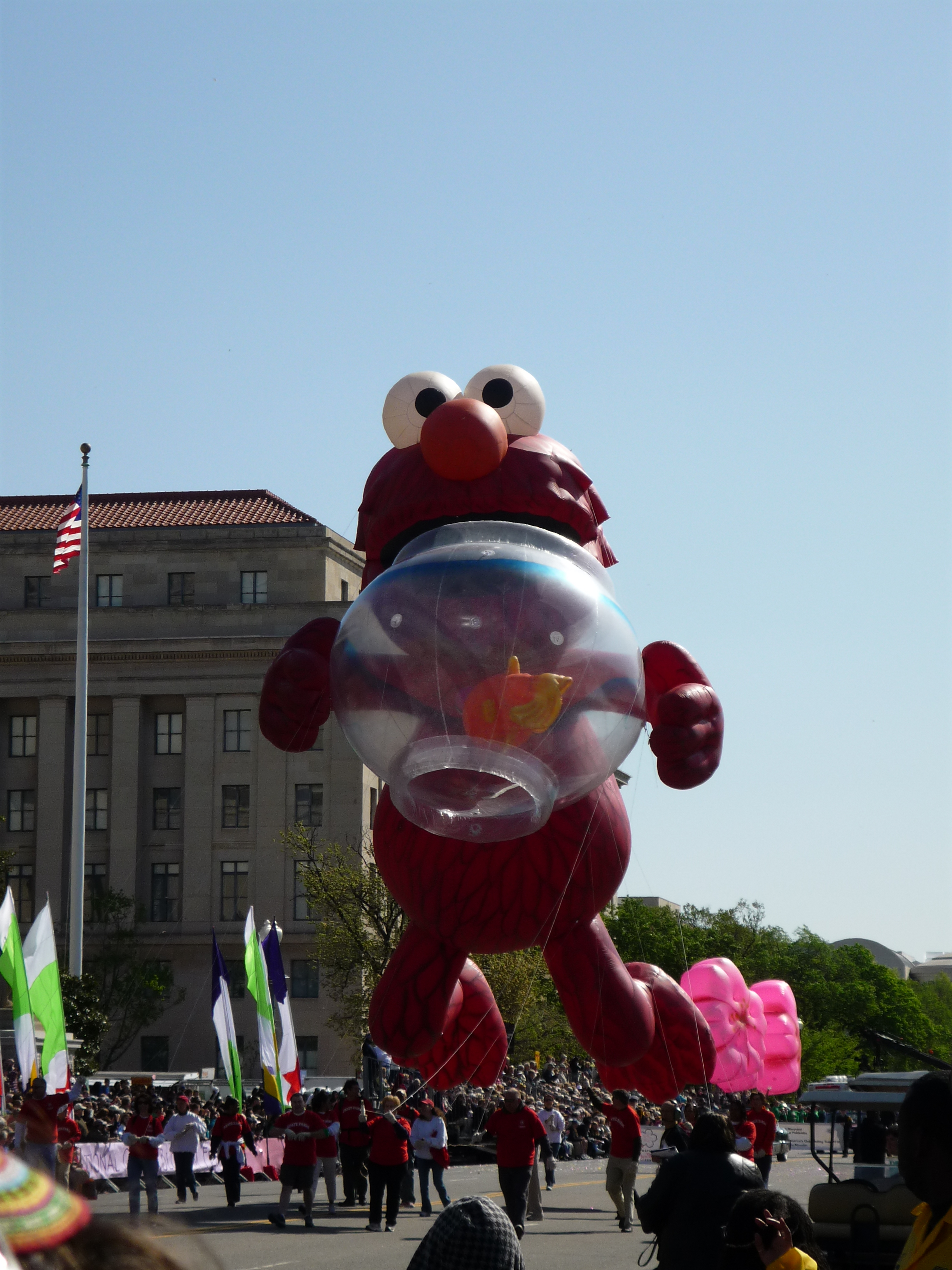 CherryBlossomParade.jpg
