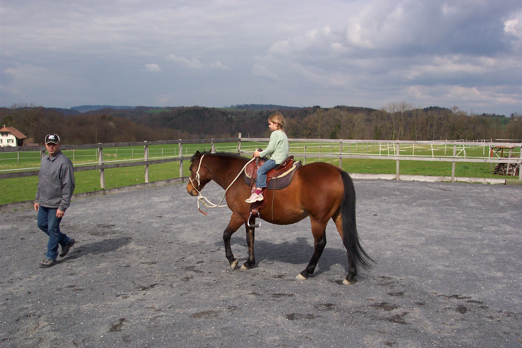 Ilovehorses.jpg