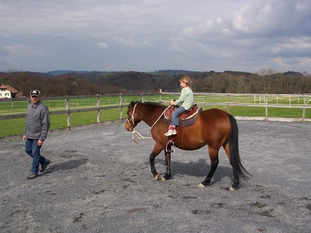 I love horses