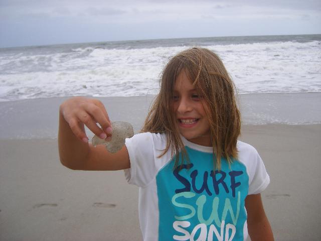Jellyfish season