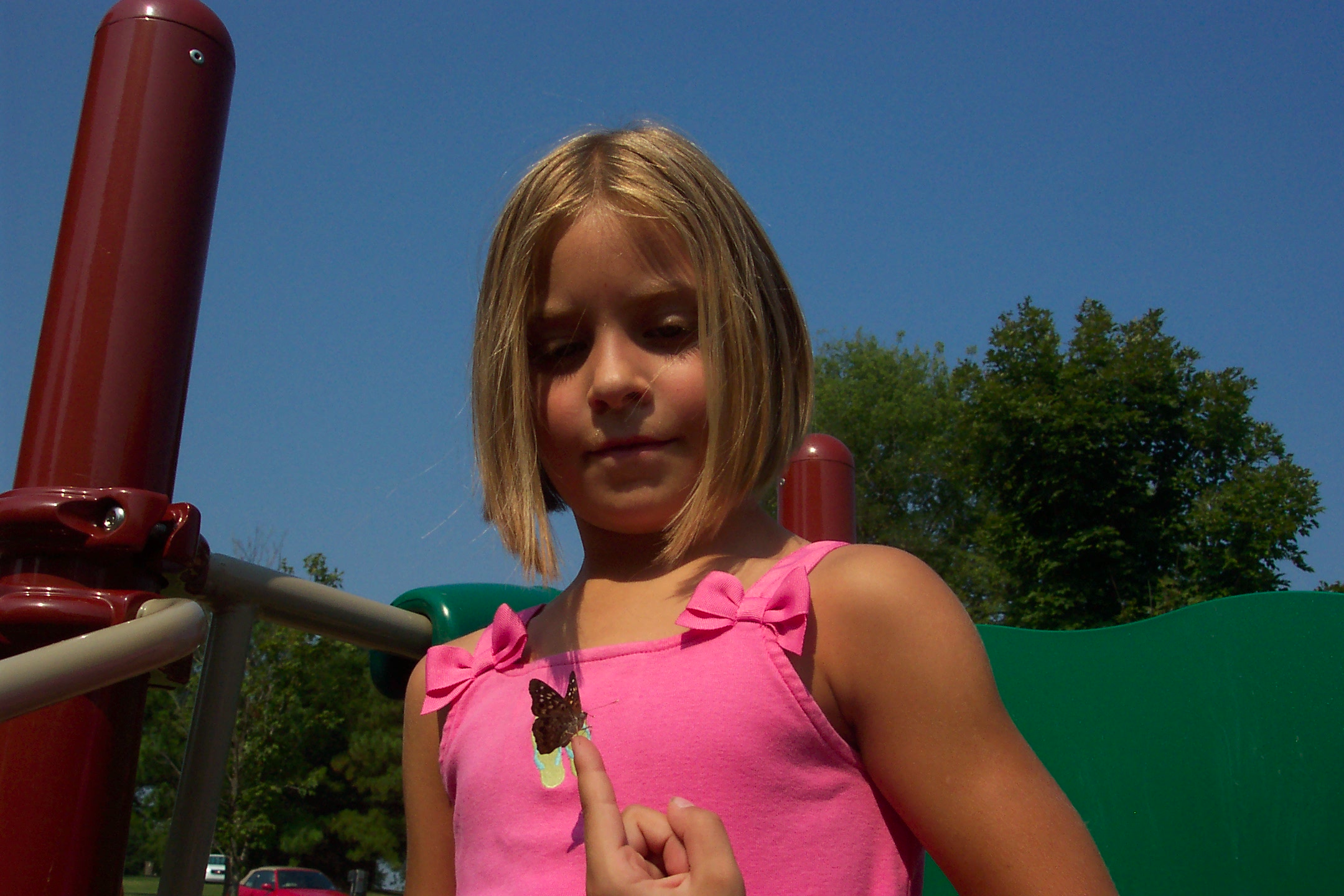 Butterflyatthepark.jpg