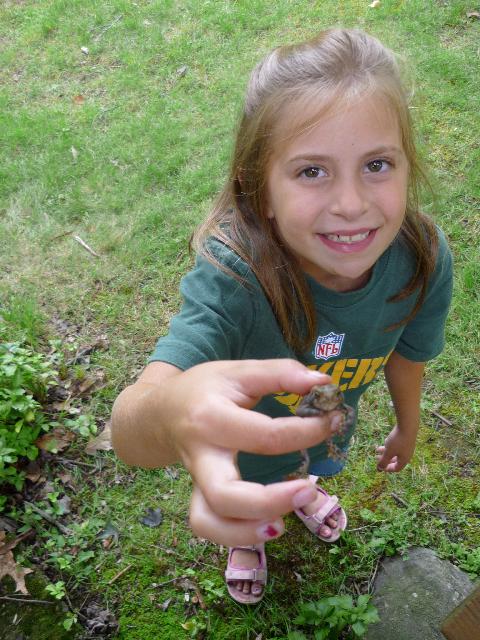 Hi frog