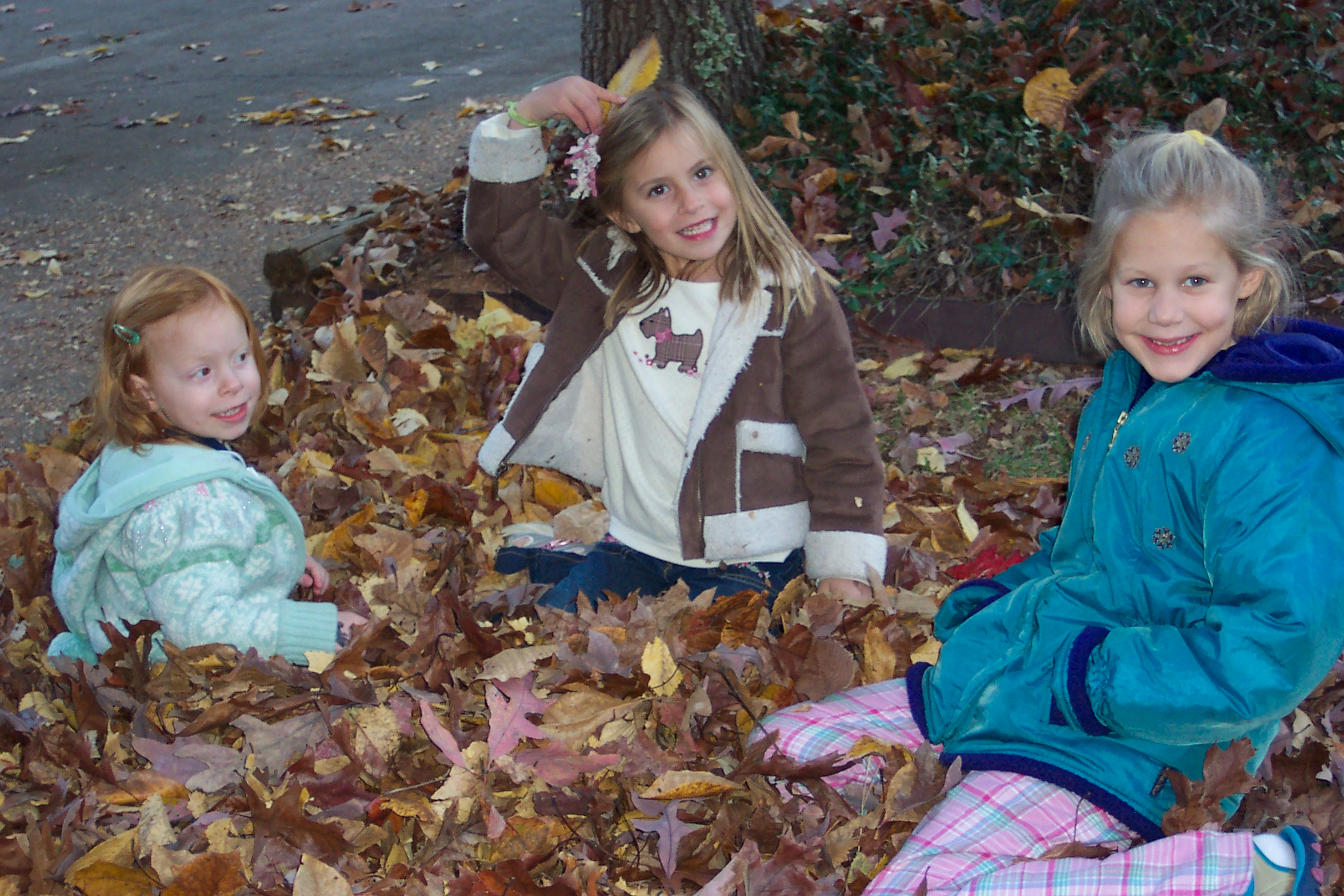 Intheleaves.jpg