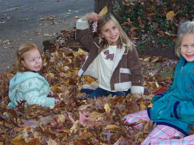 In the leaves