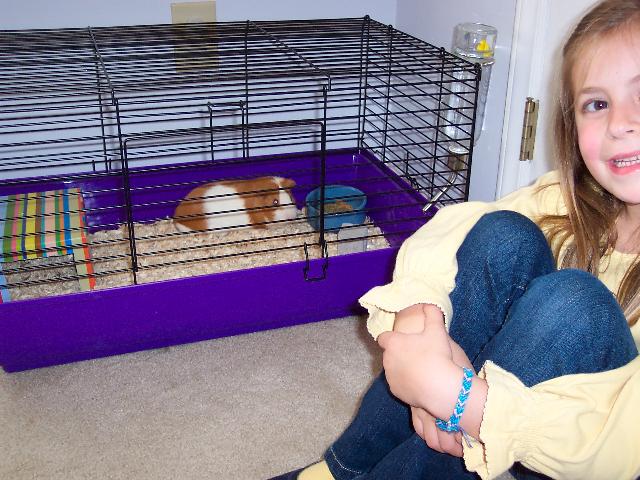 My new pet