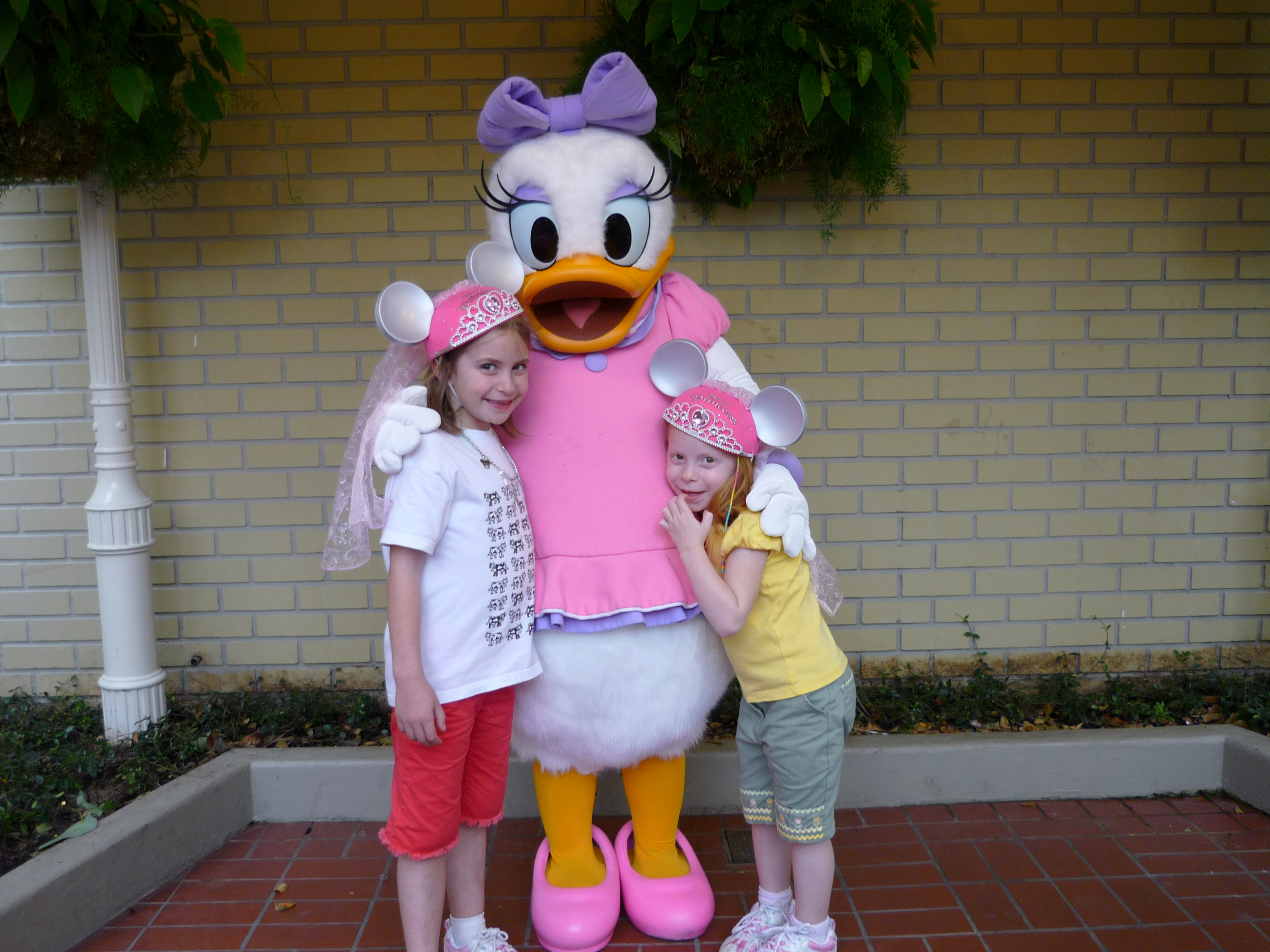 DaisyDuck.jpg