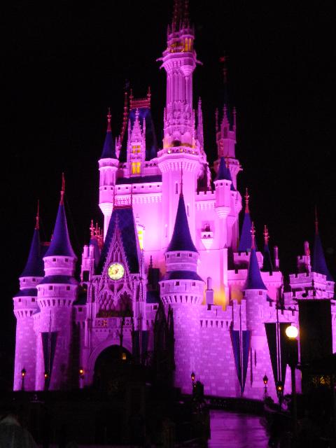 Castle at night