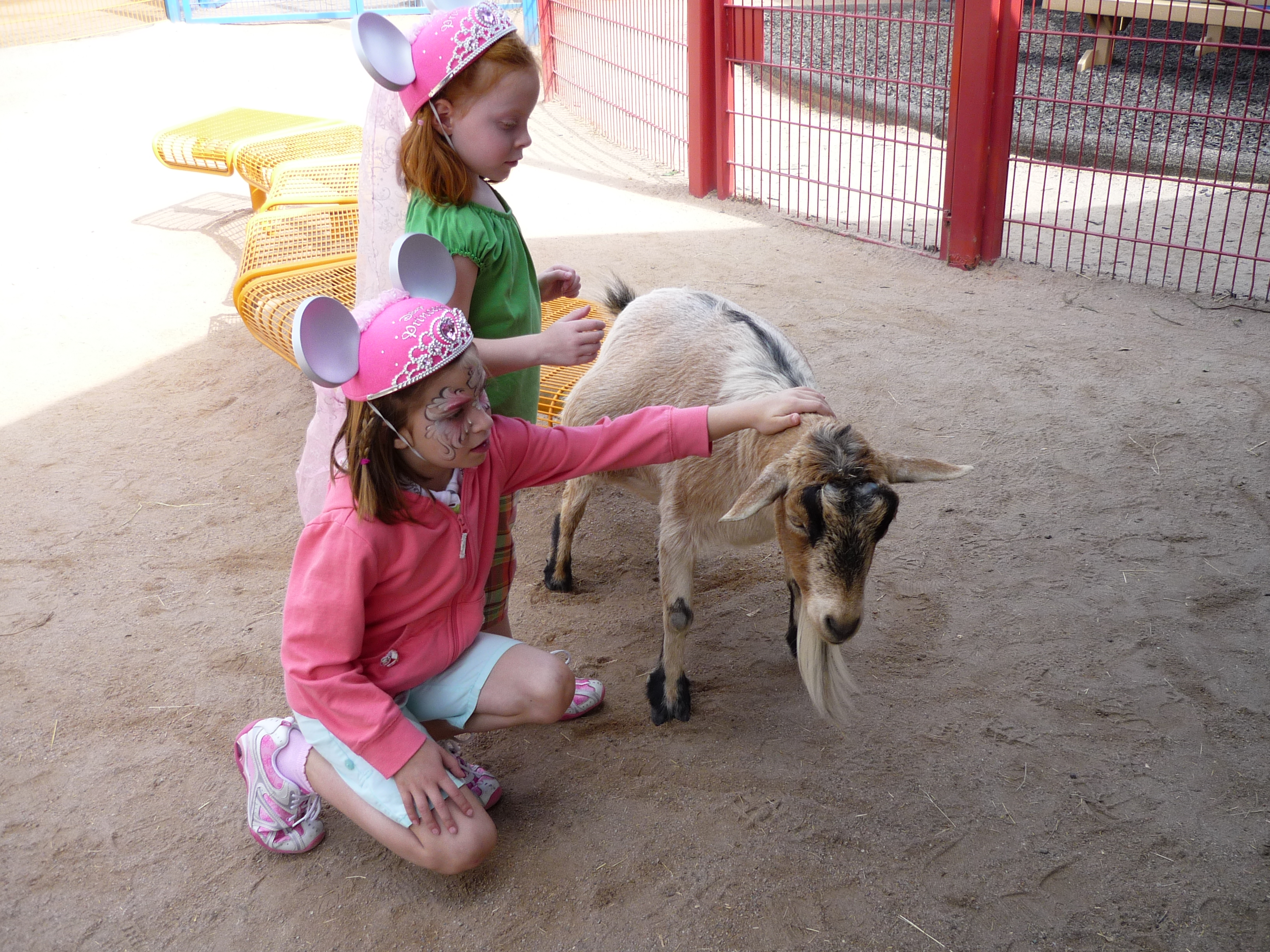 Pettingzoo.jpg