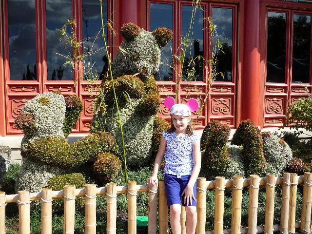 Pandas in China