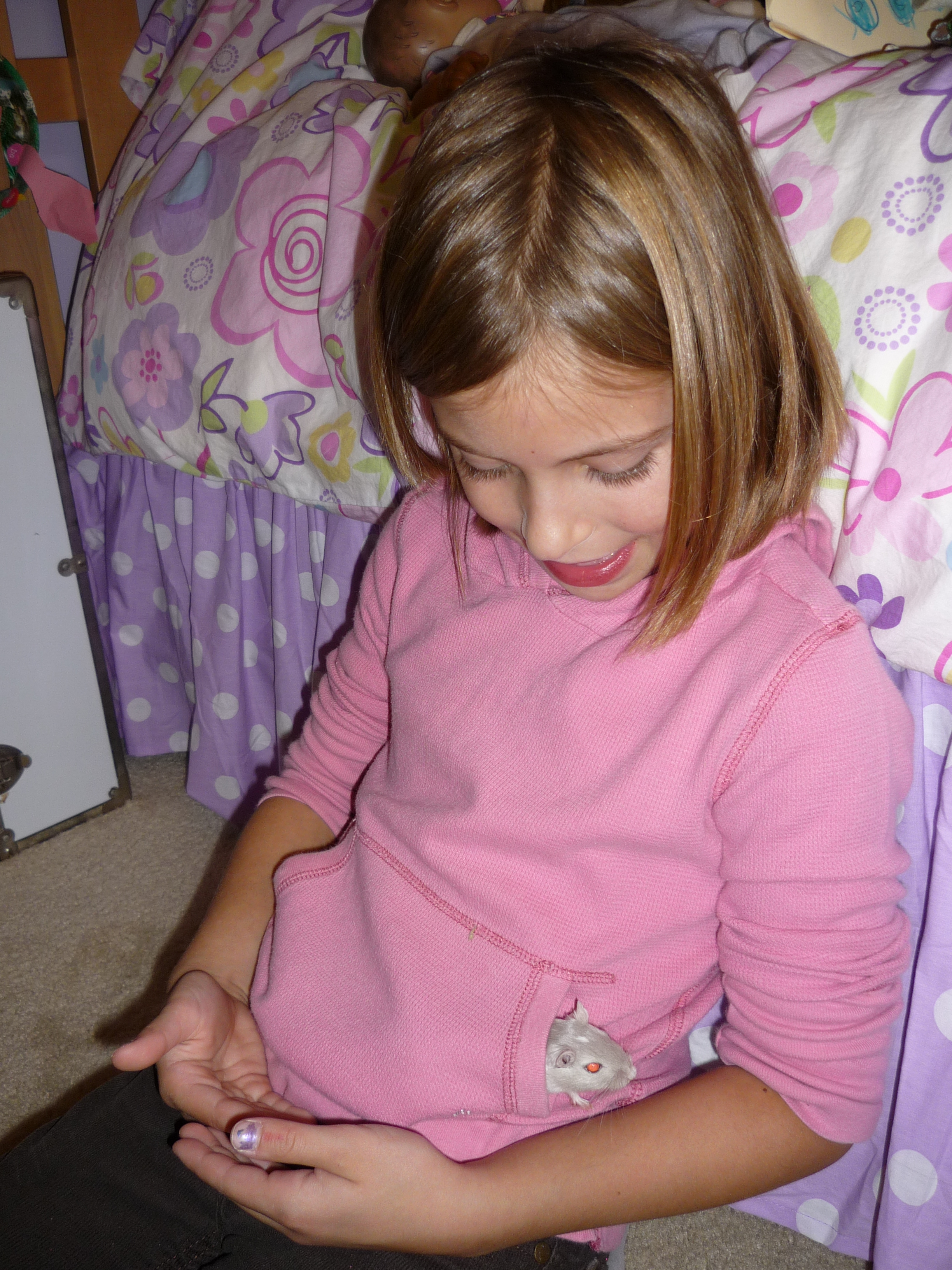 Pocketpet.jpg