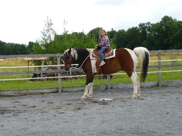 Back in the saddle again