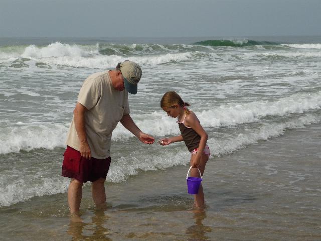 Shell seeking