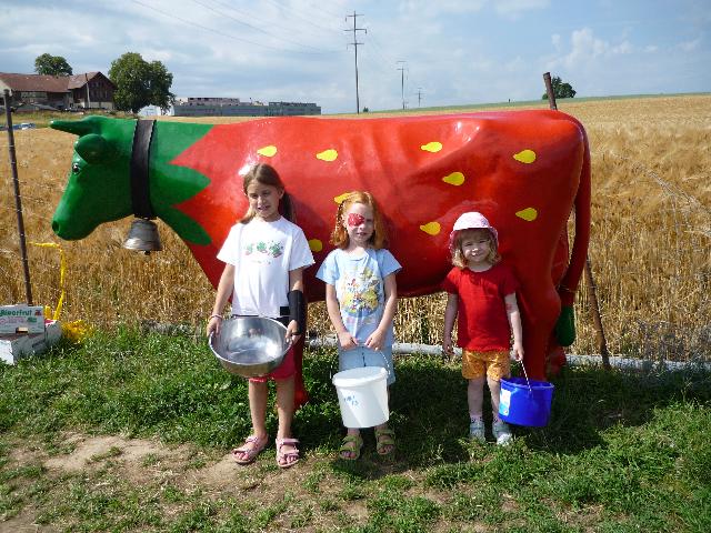 Strawberry cow