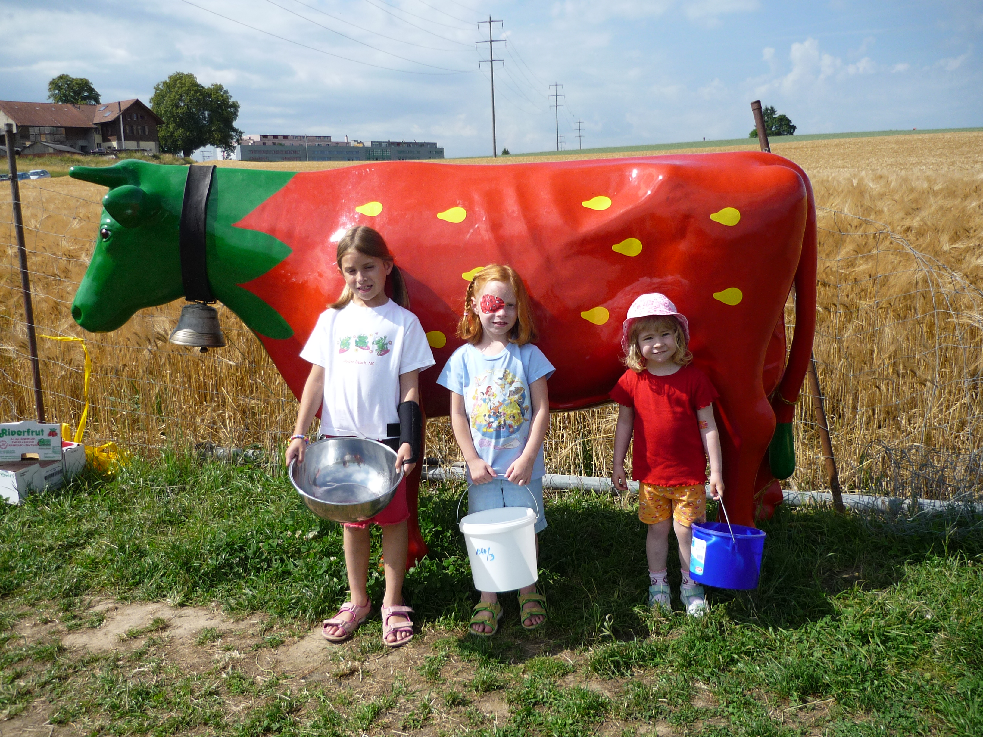 Strawberrycow.jpg