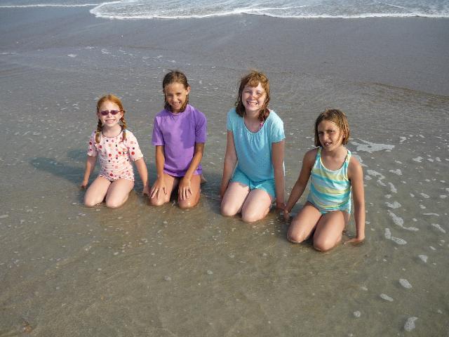 Our new friends