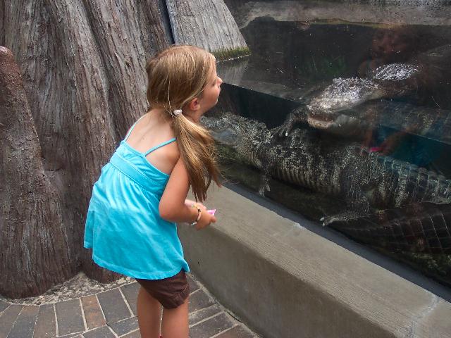 NC Aquarium
