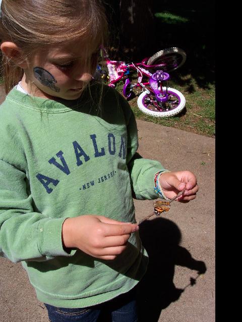 Bye bye butterfly