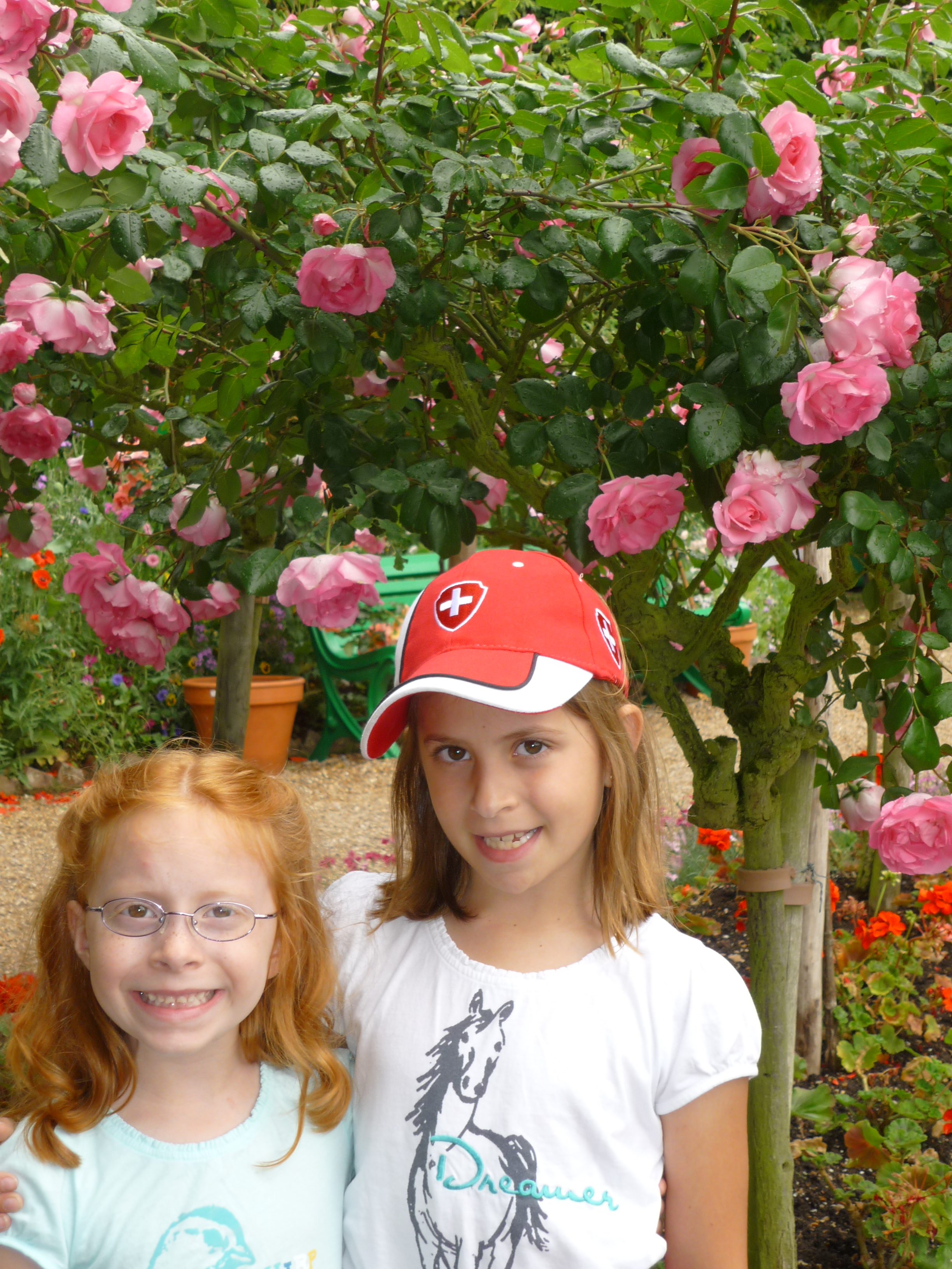 Moreflowers.jpg