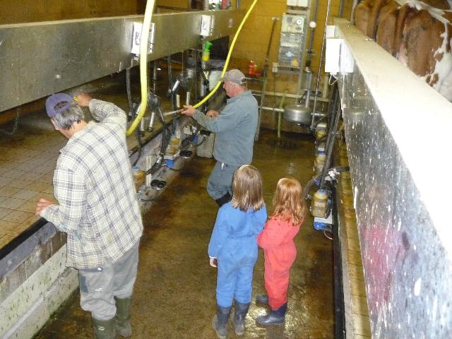 Last milking