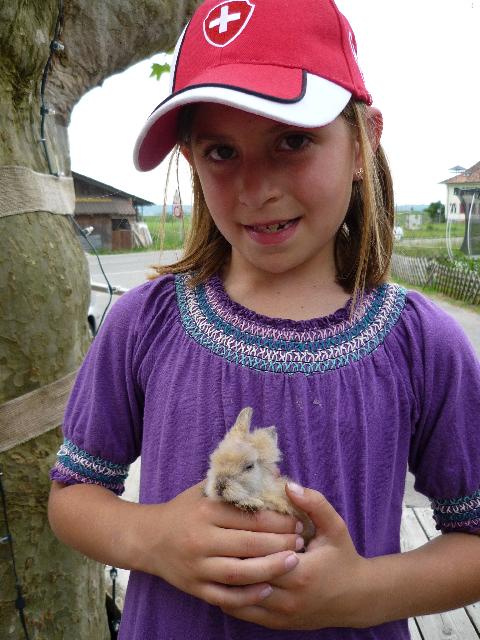 Sweet bunny