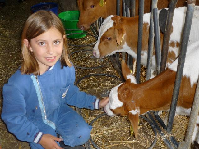 Sweet calves