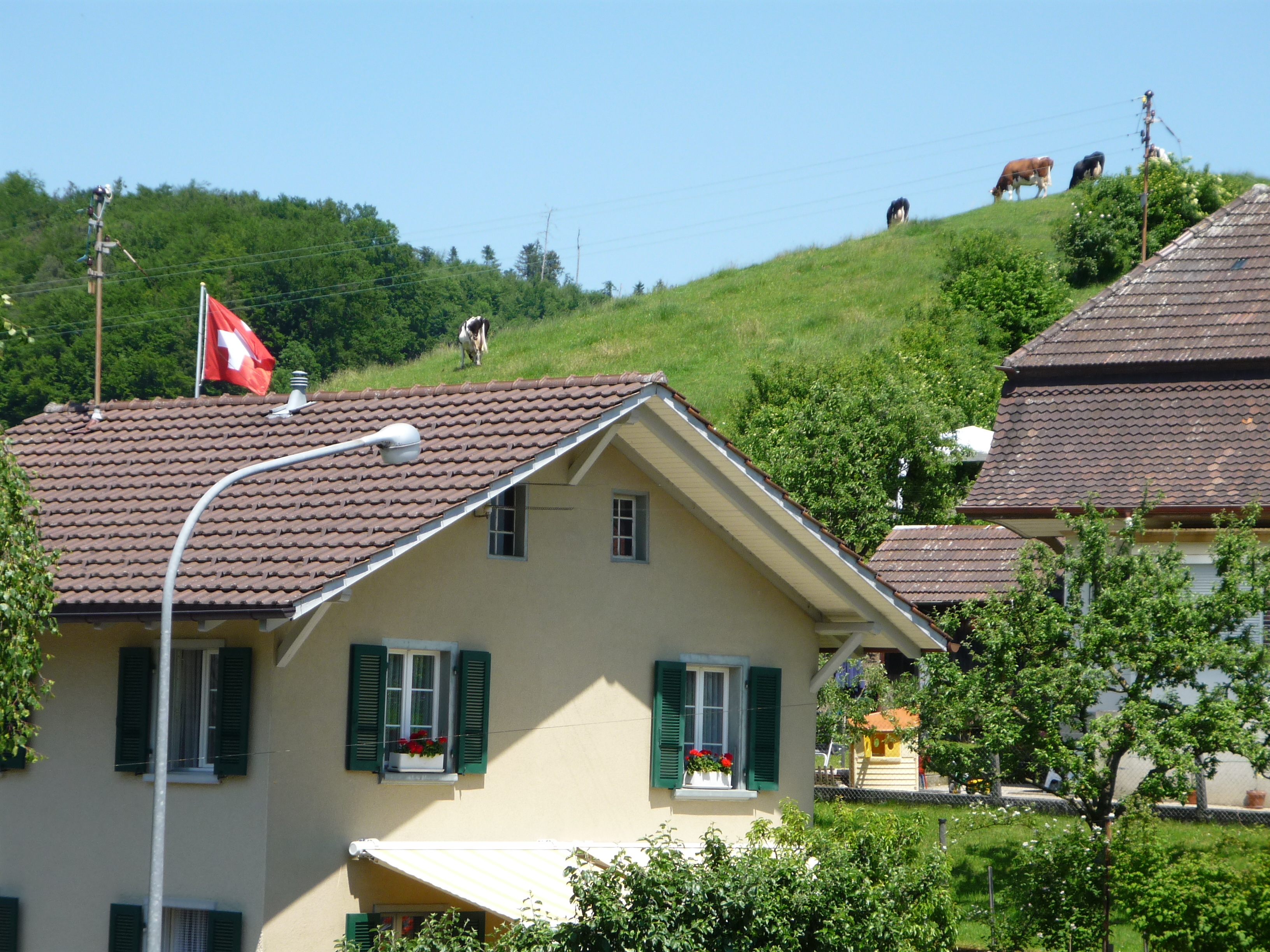 Switzerland2010.jpg