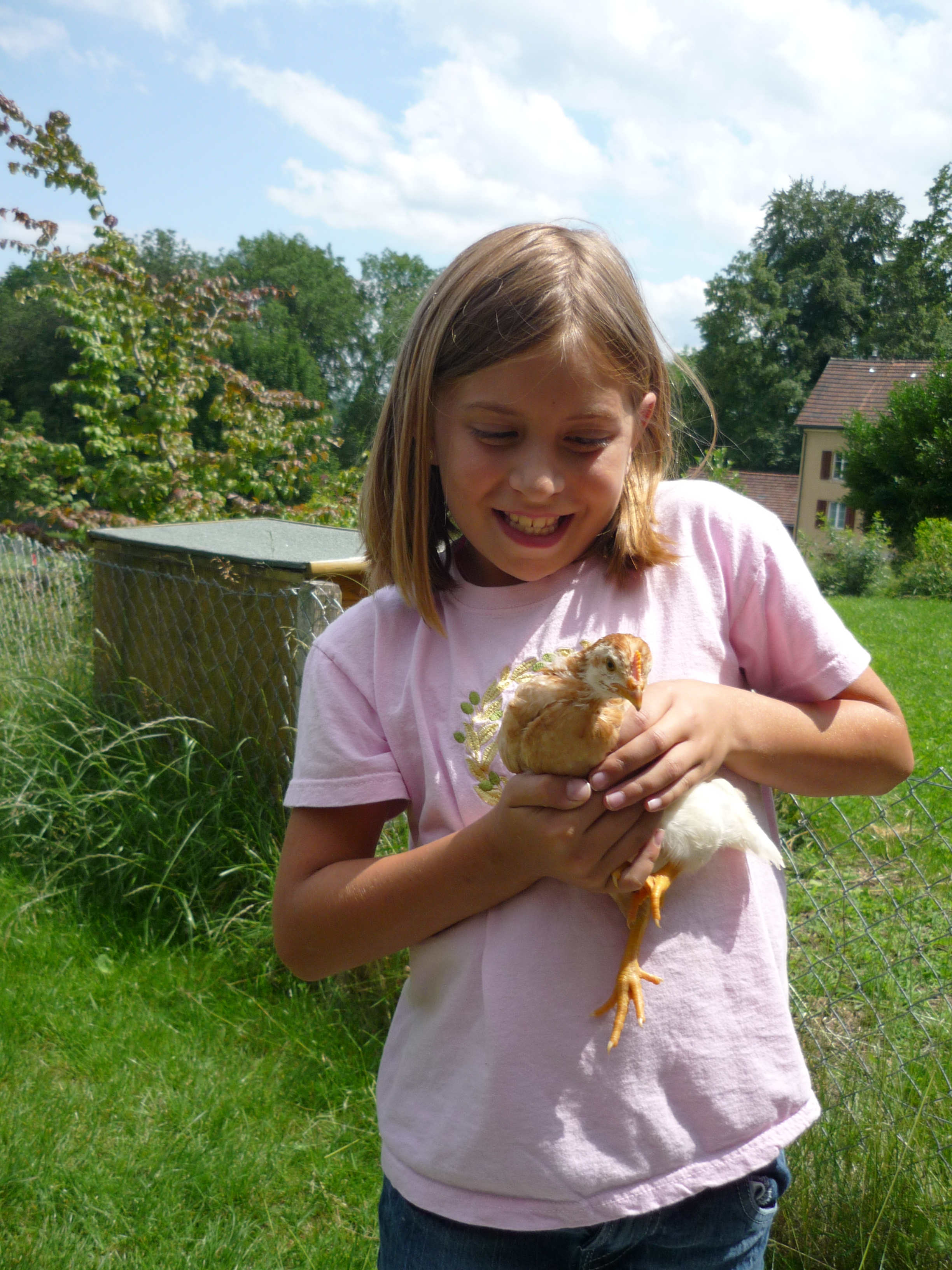 Littlechick.jpg